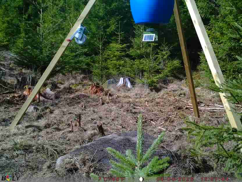 Bild från STORATRÄA