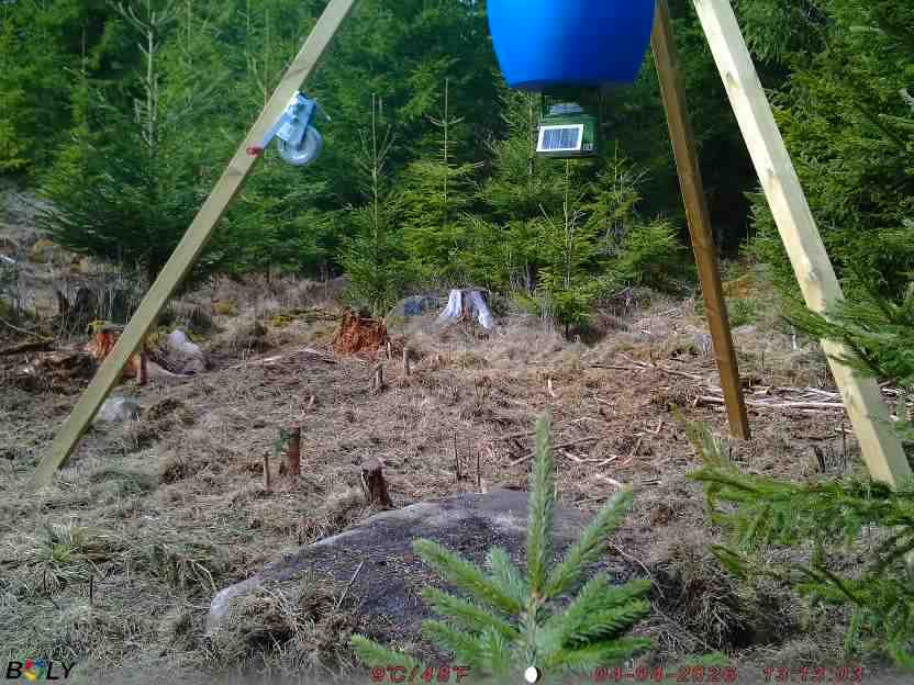 Bild från STORATRÄA