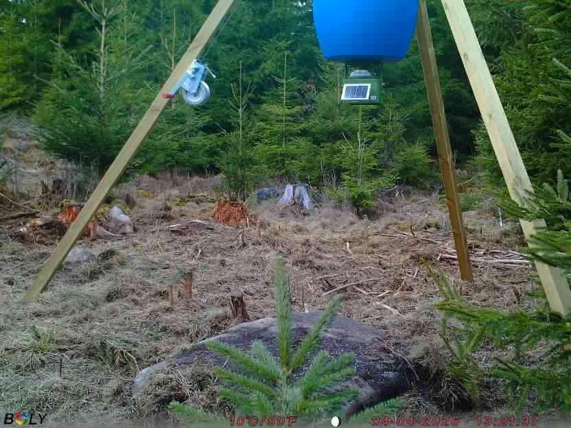 Bild från STORATRÄA