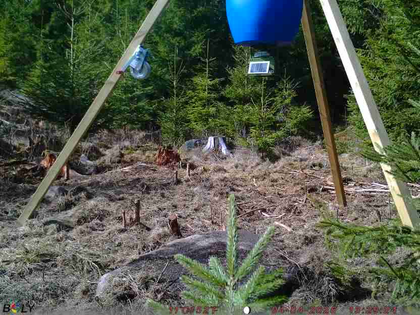 Bild från STORATRÄA