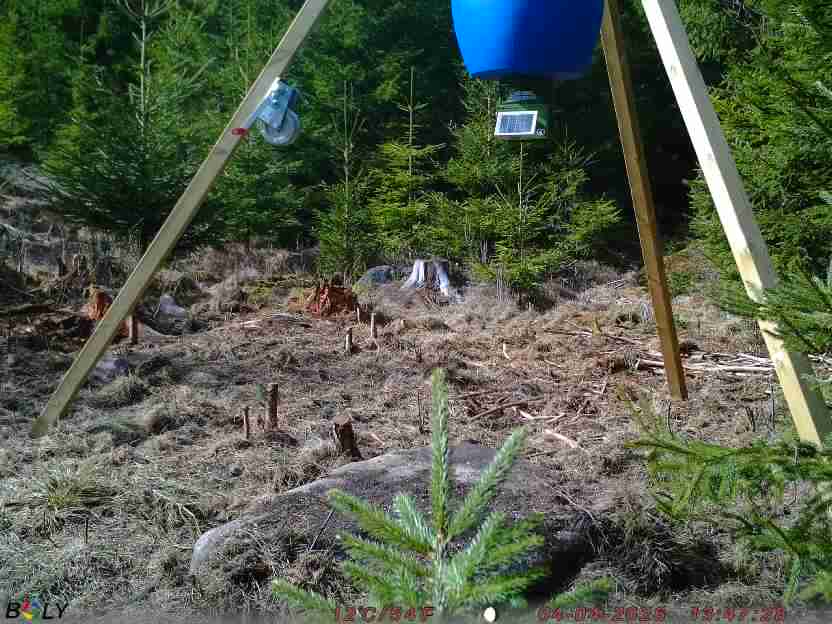 Bild från STORATRÄA