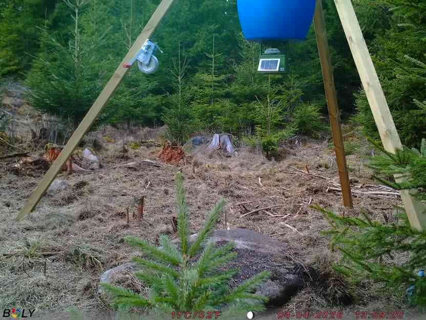 Bild från STORATRÄA