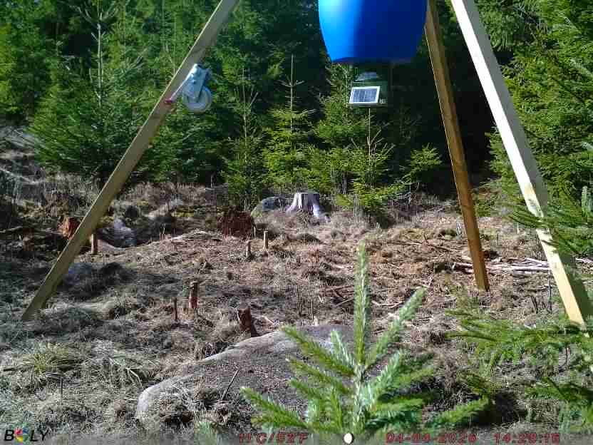 Bild från STORATRÄA