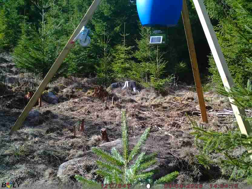 Bild från STORATRÄA