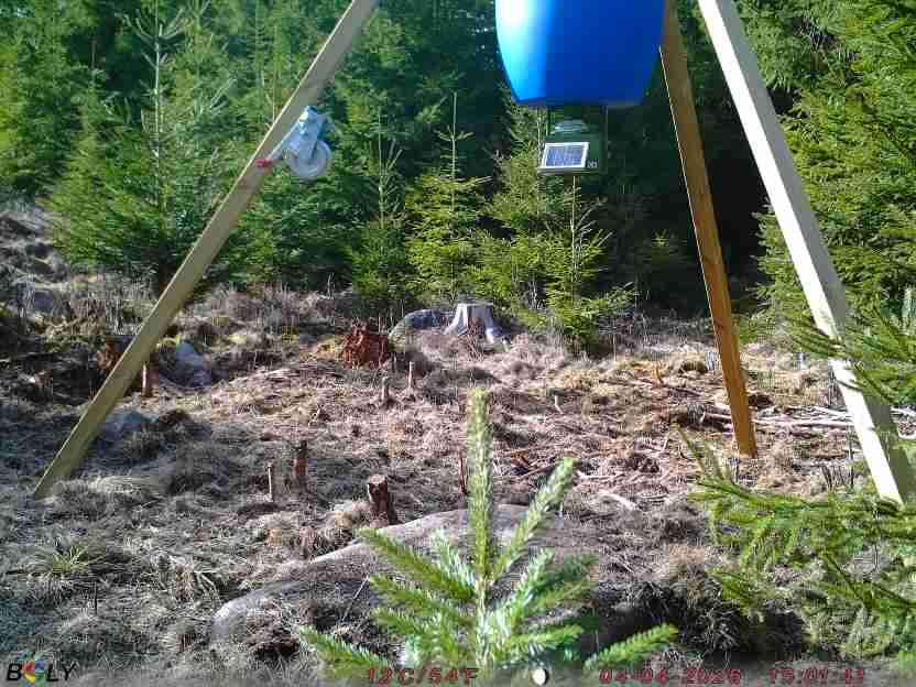 Bild från STORATRÄA