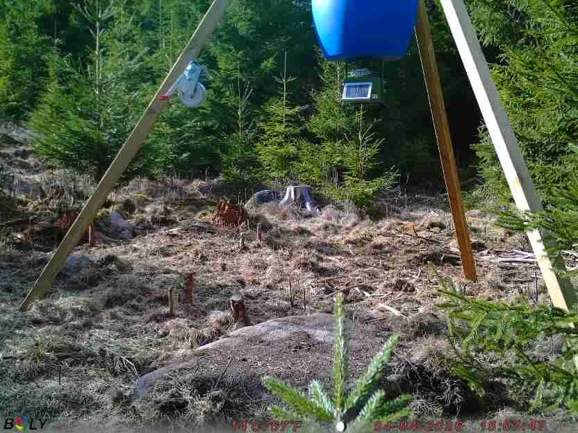 Bild från STORATRÄA