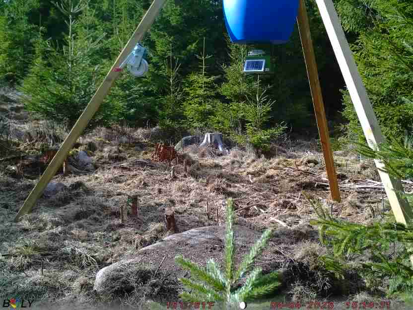 Bild från STORATRÄA