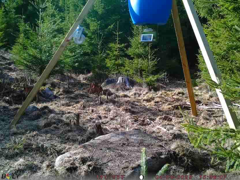 Bild från STORATRÄA