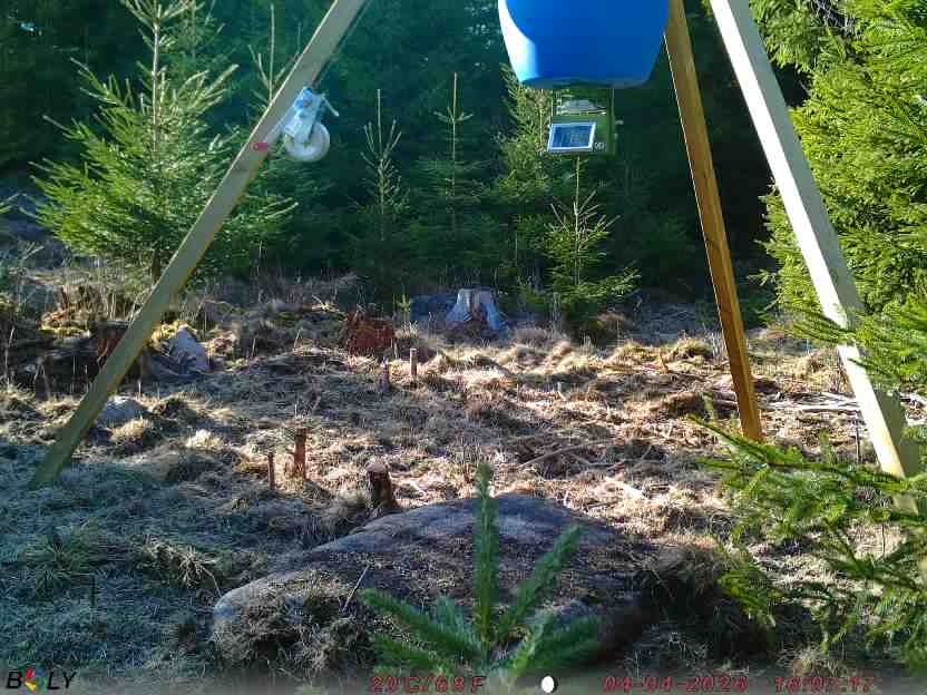 Bild från STORATRÄA