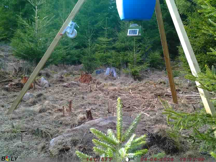 Bild från STORATRÄA