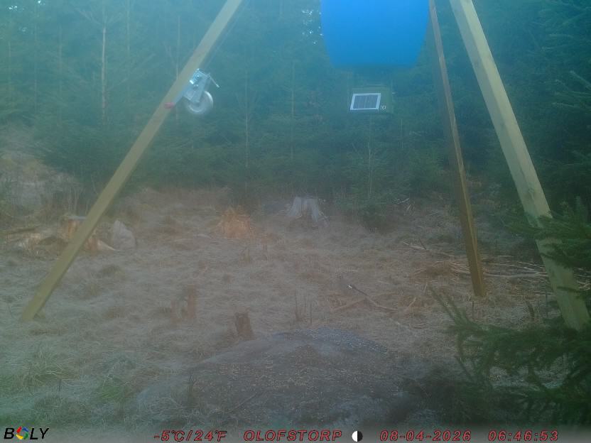 Bild från STORATRÄA