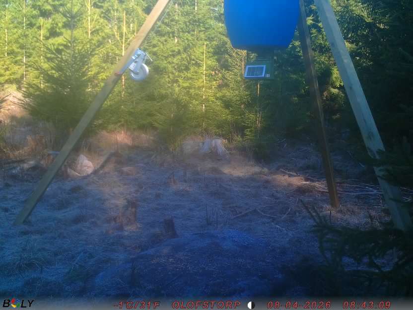 Bild från STORATRÄA