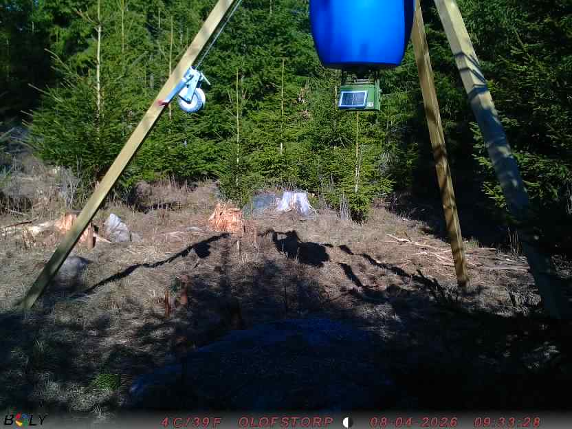 Bild från STORATRÄA