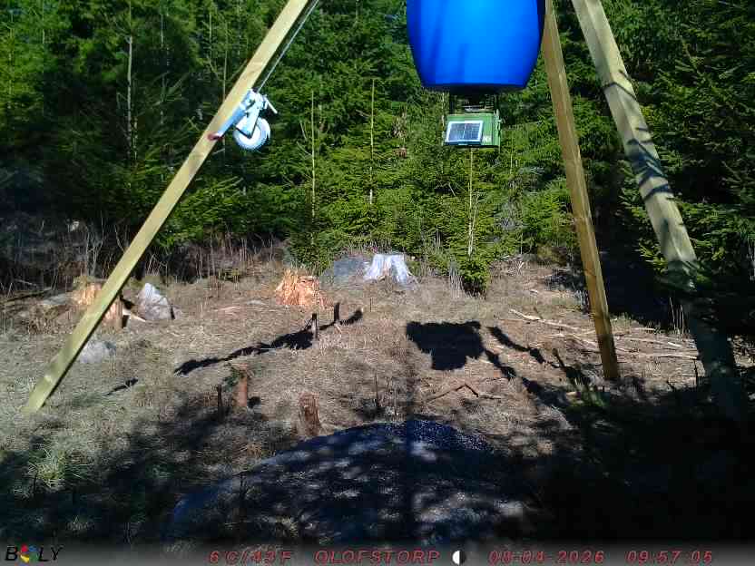 Bild från STORATRÄA