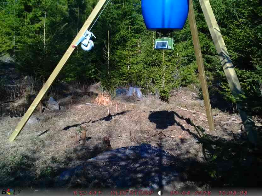 Bild från STORATRÄA