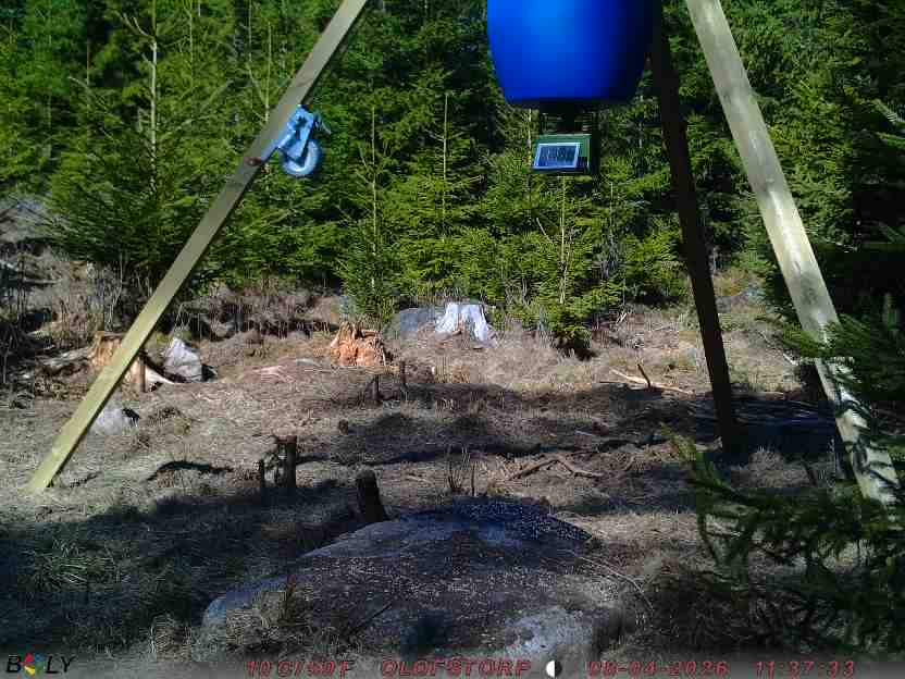 Bild från STORATRÄA