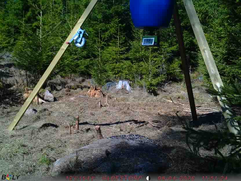 Bild från STORATRÄA