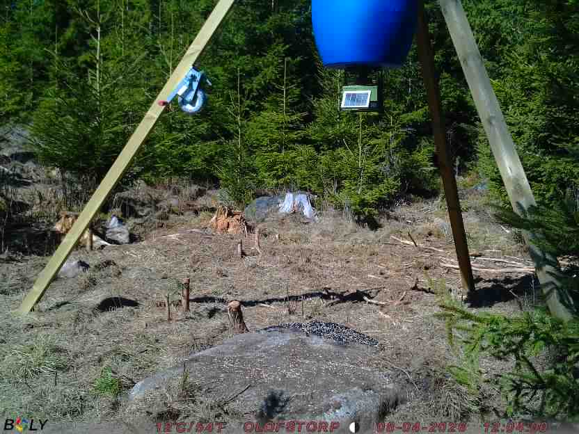 Bild från STORATRÄA