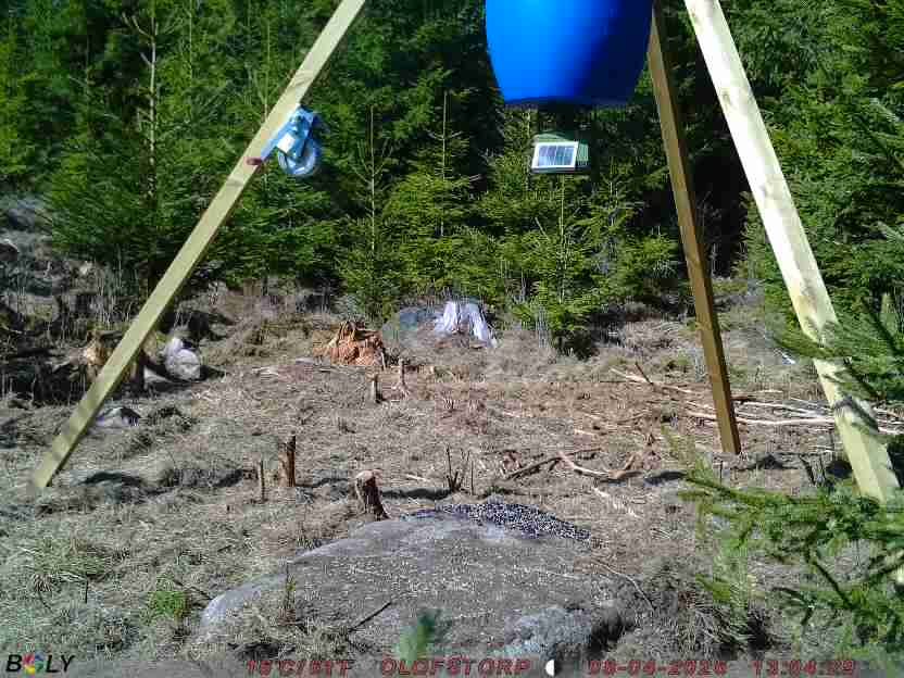 Bild från STORATRÄA