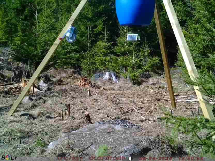 Bild från STORATRÄA