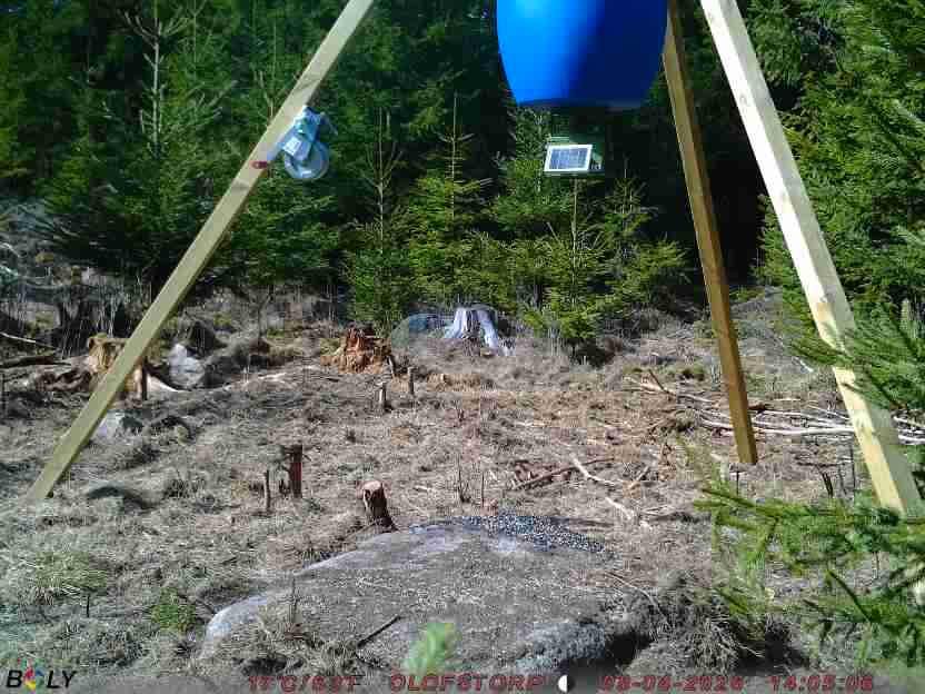 Bild från STORATRÄA