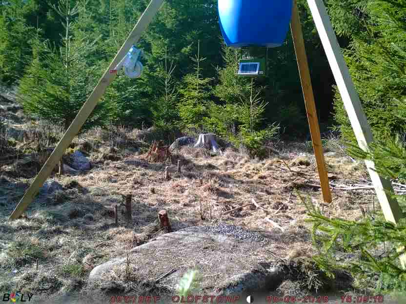 Bild från STORATRÄA