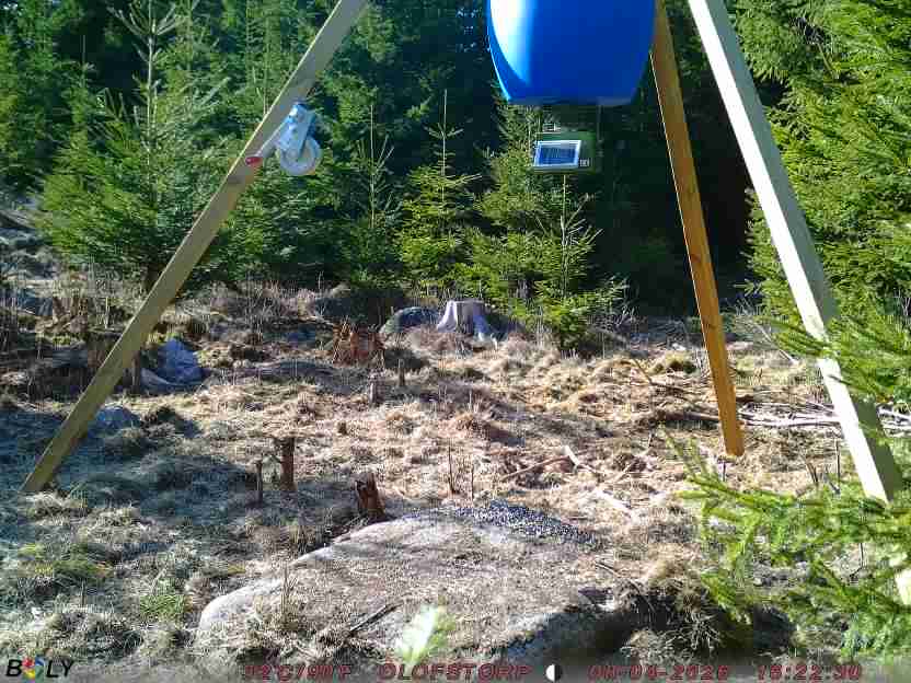 Bild från STORATRÄA