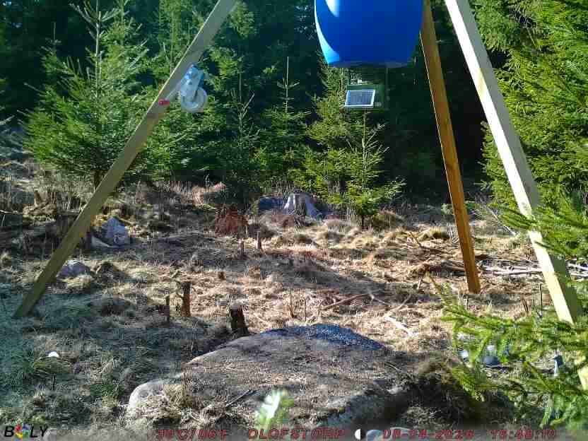 Bild från STORATRÄA