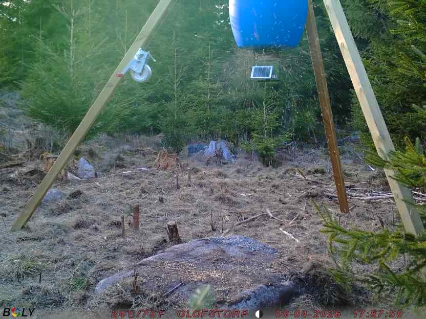 Bild från STORATRÄA