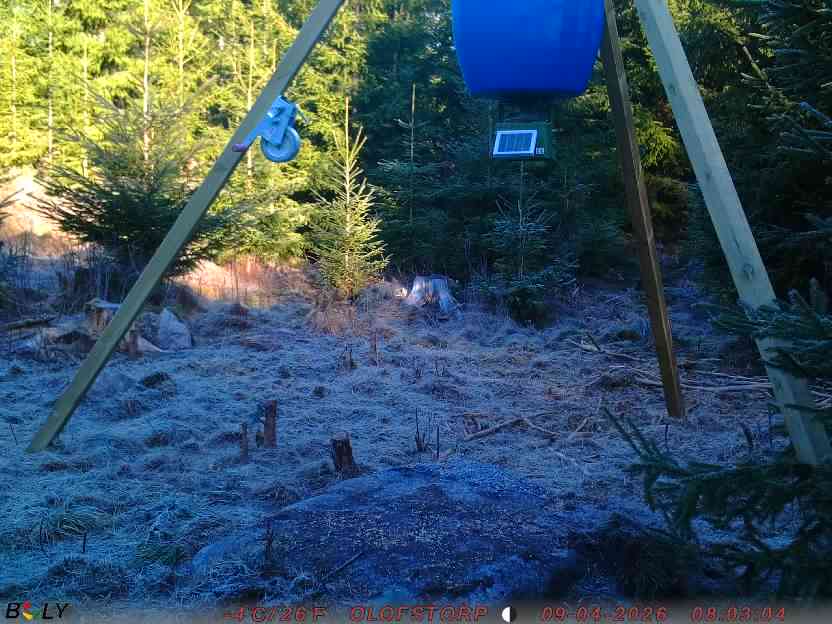 Bild från STORATRÄA