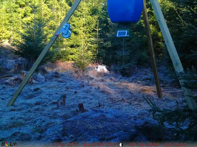 Bild från STORATRÄA