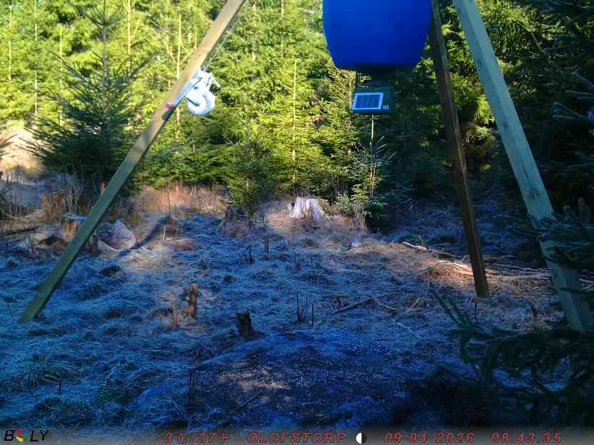 Bild från STORATRÄA