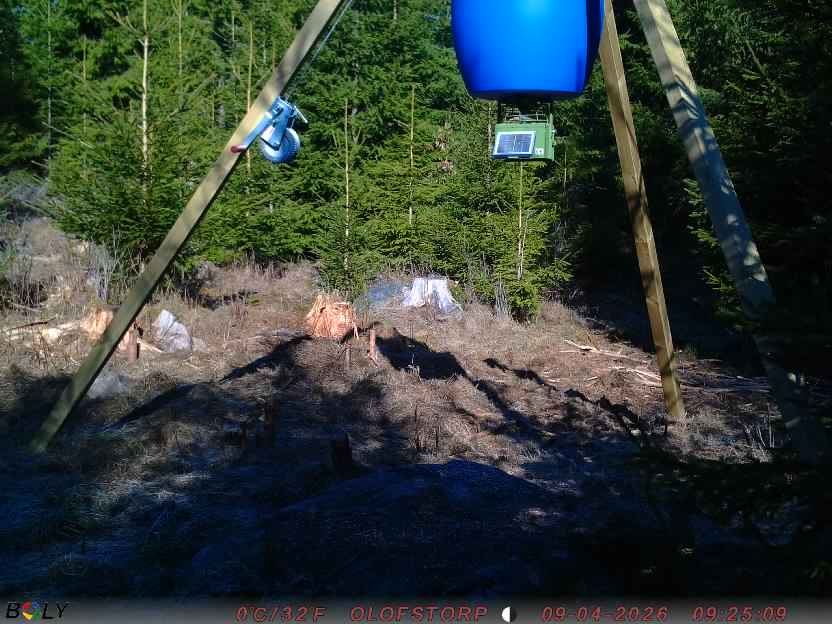 Bild från STORATRÄA