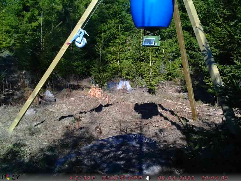 Bild från STORATRÄA