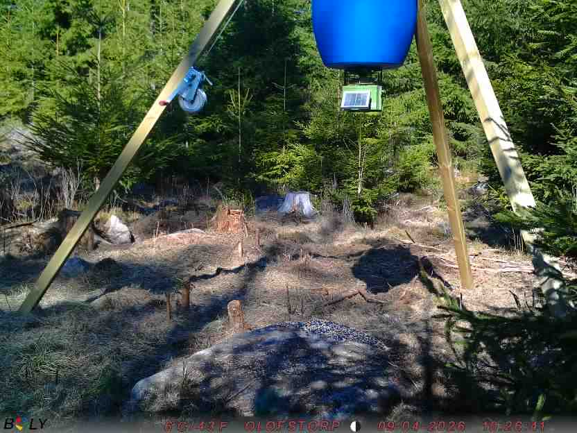 Bild från STORATRÄA