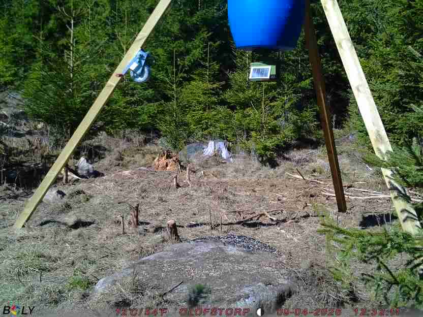 Bild från STORATRÄA