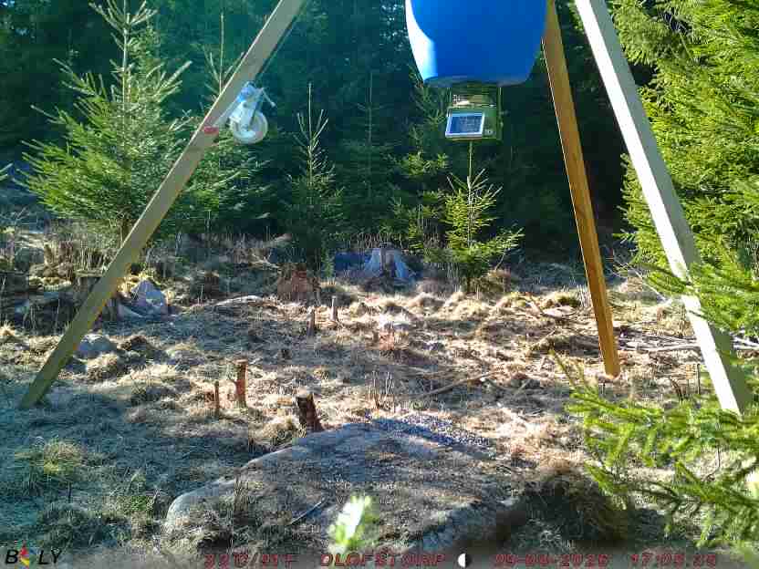 Bild från STORATRÄA