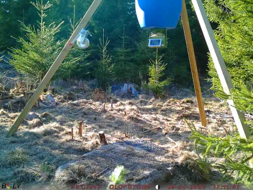 Bild från STORATRÄA