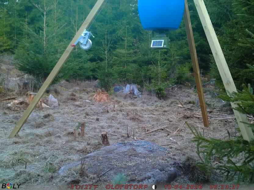 Bild från STORATRÄA