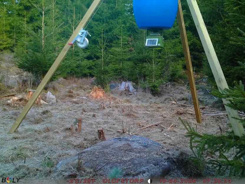 Bild från STORATRÄA