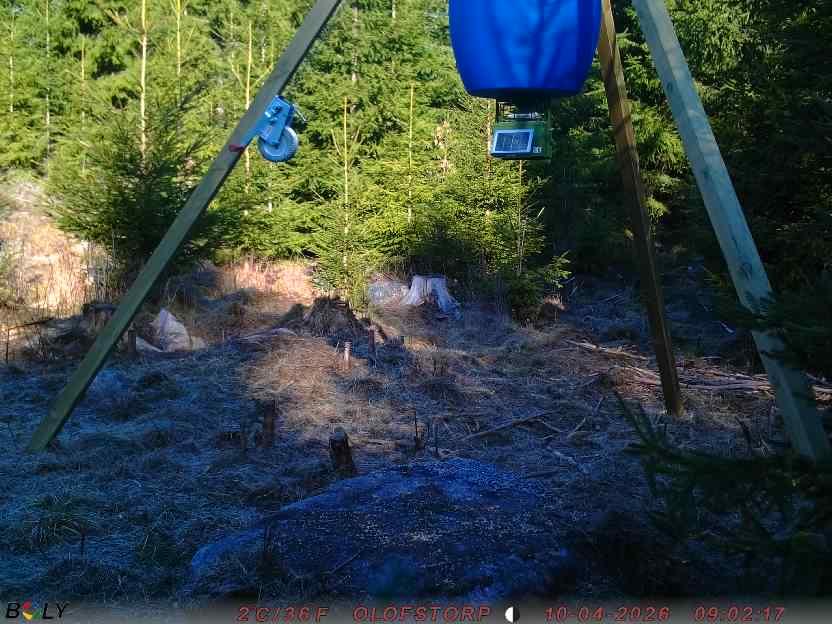 Bild från STORATRÄA