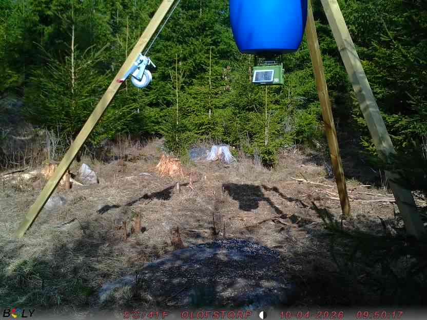 Bild från STORATRÄA