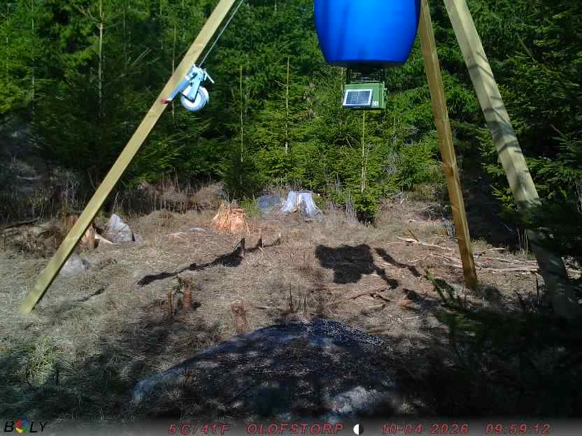 Bild från STORATRÄA