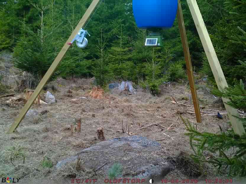 Bild från STORATRÄA