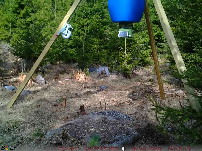 Bild från STORATRÄA