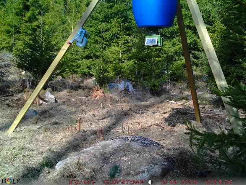 Bild från STORATRÄA