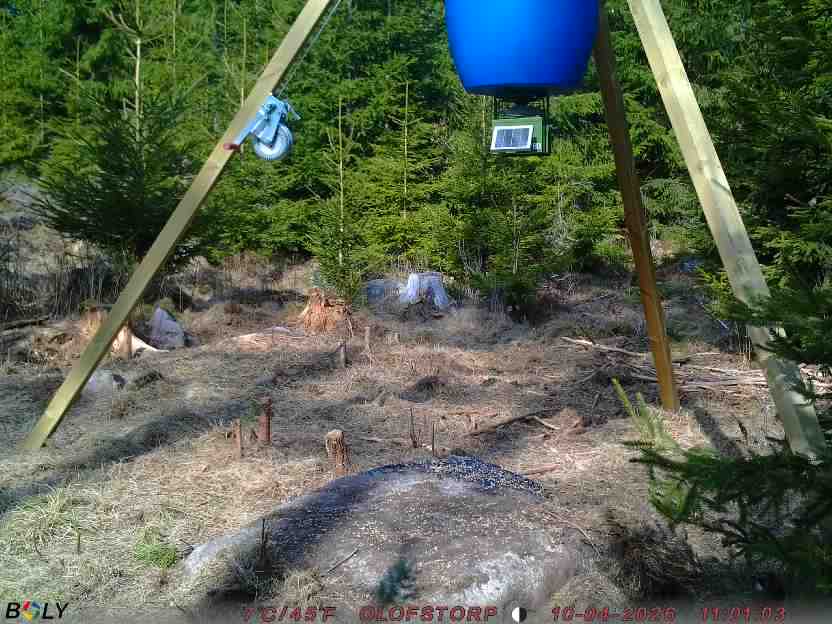 Bild från STORATRÄA