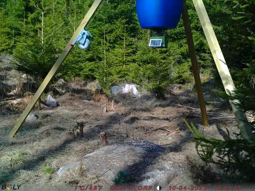 Bild från STORATRÄA