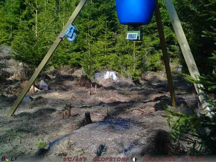 Bild från STORATRÄA