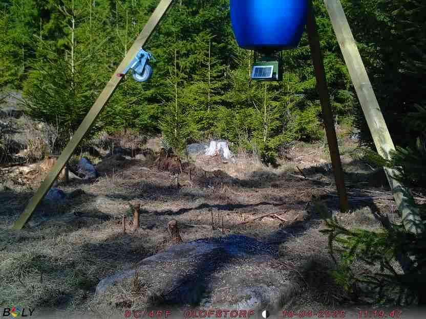 Bild från STORATRÄA